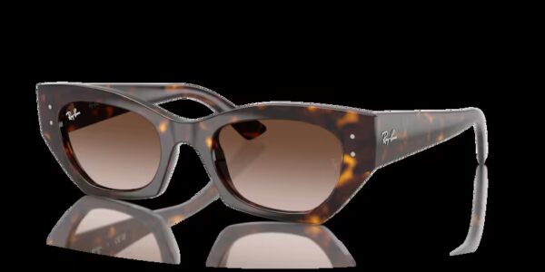 Ray-Ban RB 4430 ZENA